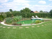 Vodné rastliny do jazierka