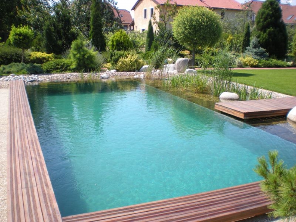 BioSchwimmbad und Schwimmteich