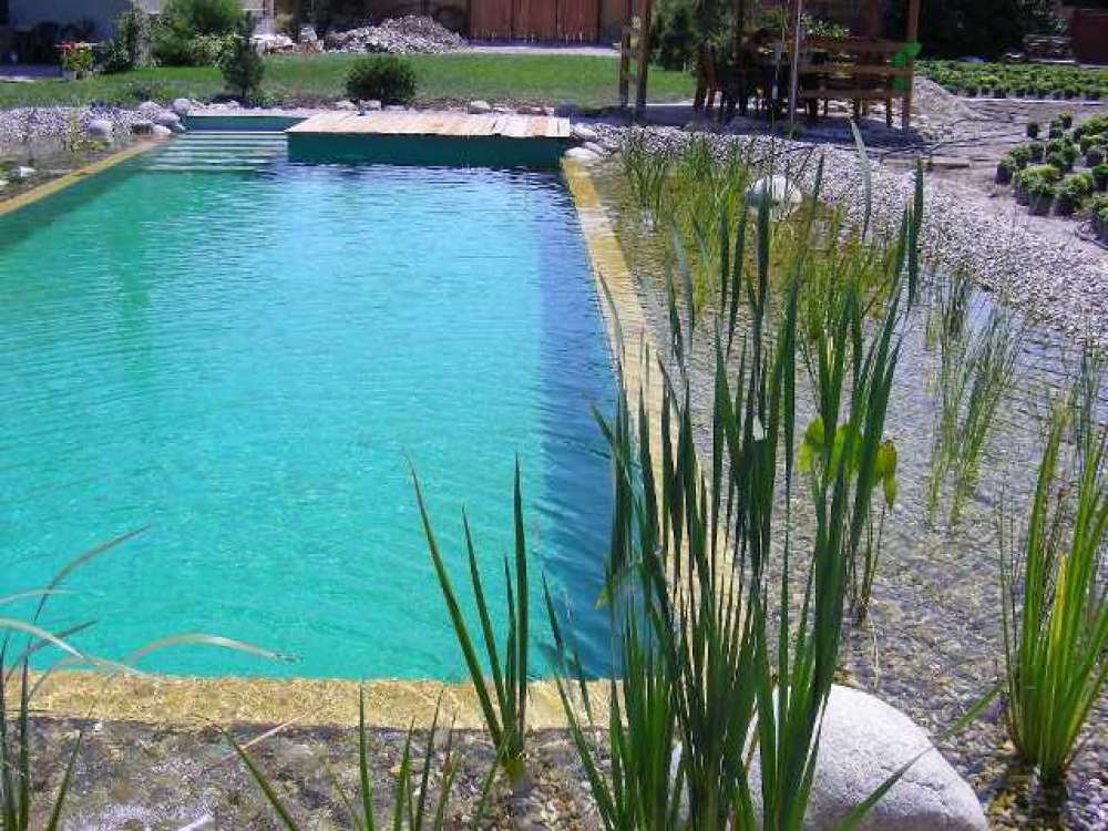 BioSchwimmbad und Schwimmteich