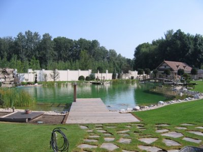 Gartenteich, Schwimmteich, Bioteich