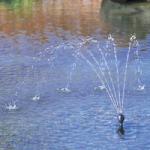 Oase Aquarius 1000 – fontánové čerpadlo