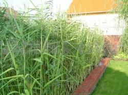 Substrát pre vodné rastliny 25kg